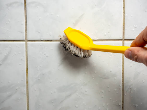 Best Mold Cleaning Services  in English Creek, NJ