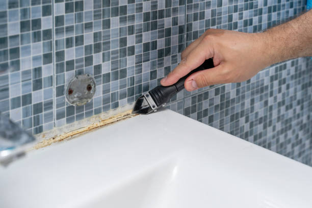 Best Mold Remediation  in English Creek, NJ